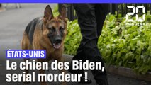 Etats-Unis : Le chien de la Maison-Blanche accusé d’être un mordeur en série