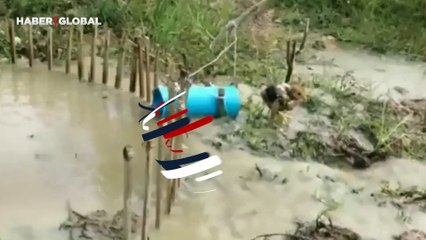 Tavuğu yakalamak isteyen dev pitonun hazin sonu saniye saniye görüntülendi