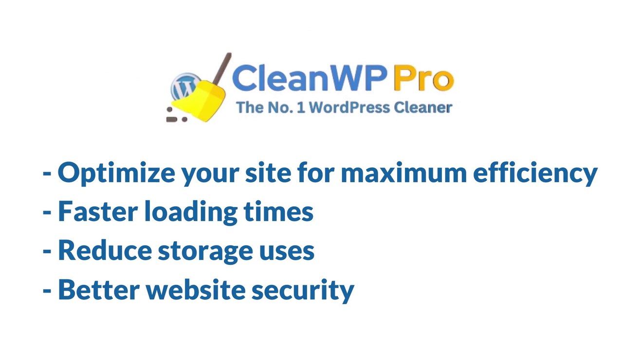 CleanWP Pro - The Ultimate WordPress Cleaning Plugin features and guide