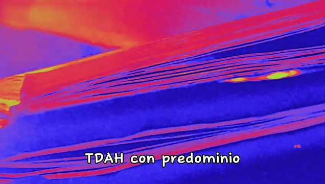 Trastorno por Déficit de Atención e Hiperactividad (TDAH)