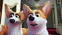 The Luxurious Life of A Queen's Dog Living in a Palace Ends Up in a Cage | Animated Movie explained