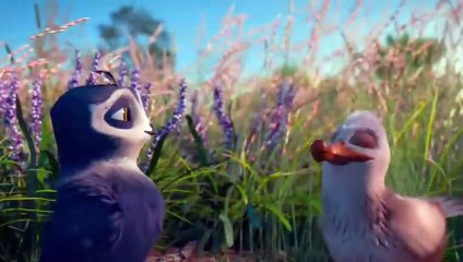 A Seagull Losts Her Parents At a Very Young Age Discover That He is Actually a Swift Who was Adopted