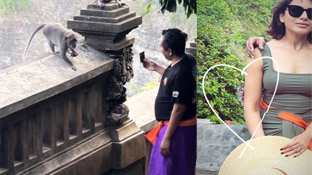 Samantha Ruth Prabhu Bali Road Trip पर Monkey ने Snatch किए Sunglasses, Watch Full Video | Boldsky