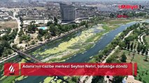 İçler acısı manzara! Seyhan Nehri bu halde geldi