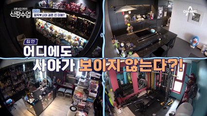 사야가 떠났다? 이곳은 형탁 세상♨ 형탁이 반갑게 맞이하는 사람은?