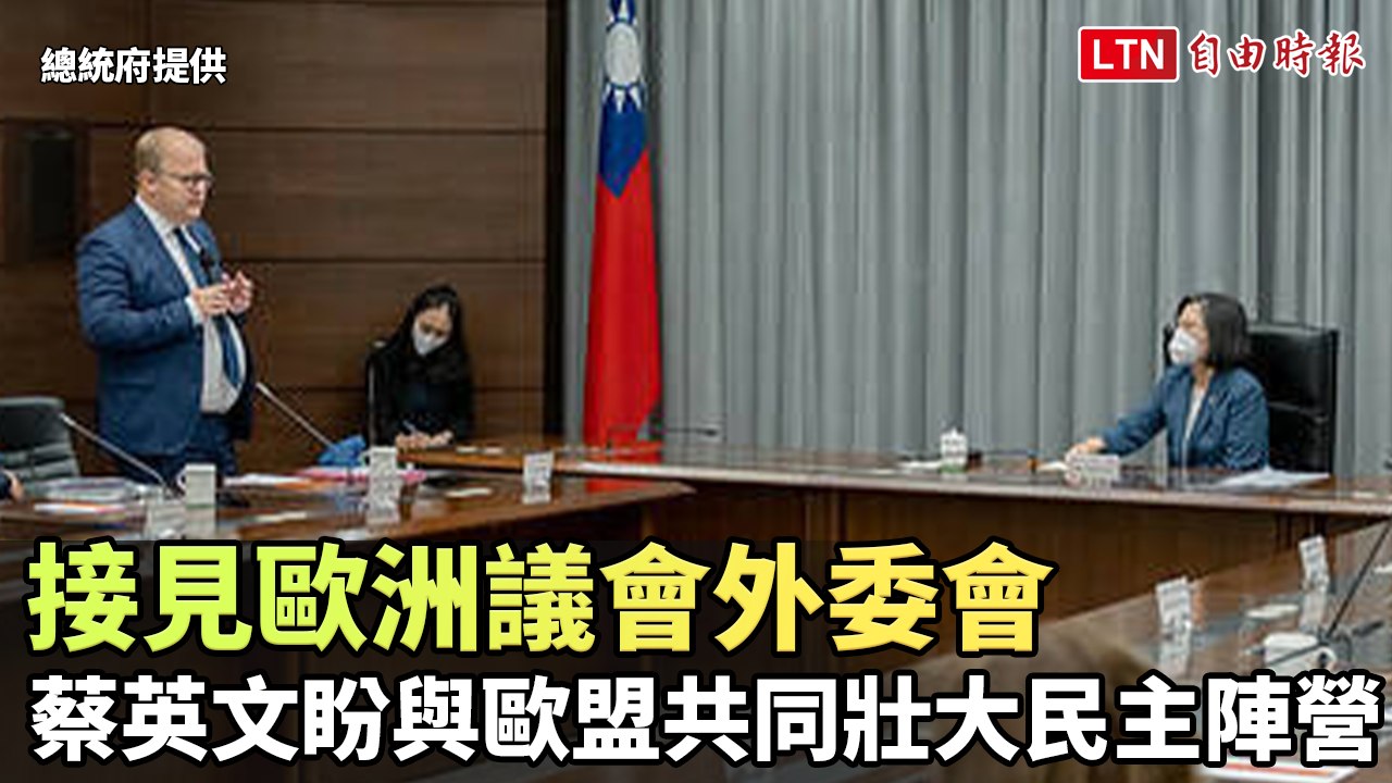 接見歐洲議會外委會 蔡英文盼與歐盟共同壯大民主陣營（總統府提供）