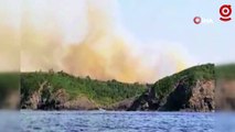 Beykoz’da ormanlık alanda yangın: Olay yerine itfaiye ekipleri sevk edildi
