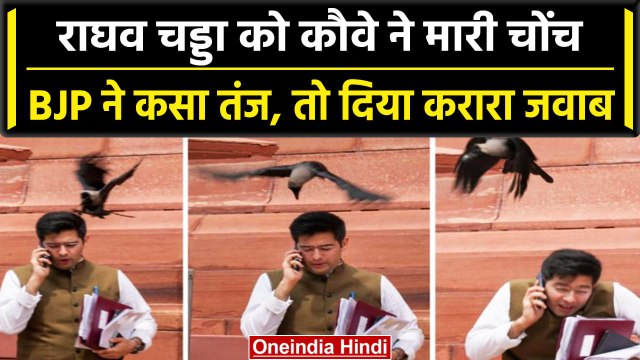 Raghav Chadha को संसद में कौवे ने मारा पंजा, BJP ने मारा तंज तो मिला जबरदस्त जवाब | वनइंडिया हिंदी