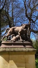 The garden of Grand Rond in Toulouse  • • • Music by @naomisato1998 - Sakura (feat. Flux) via @hellothematic
