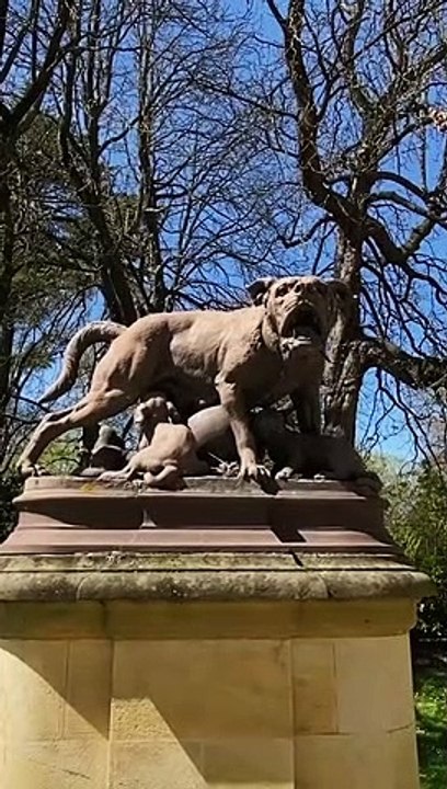 The garden of Grand Rond in Toulouse  • • • Music by @naomisato1998 - Sakura (feat. Flux) via @hellothematic