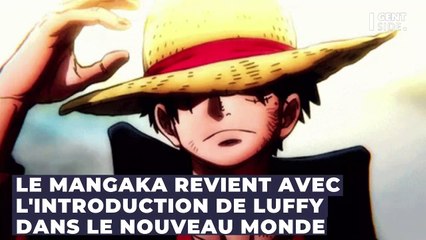 Voici le pire arc de One Piece, tout le monde l'a détesté