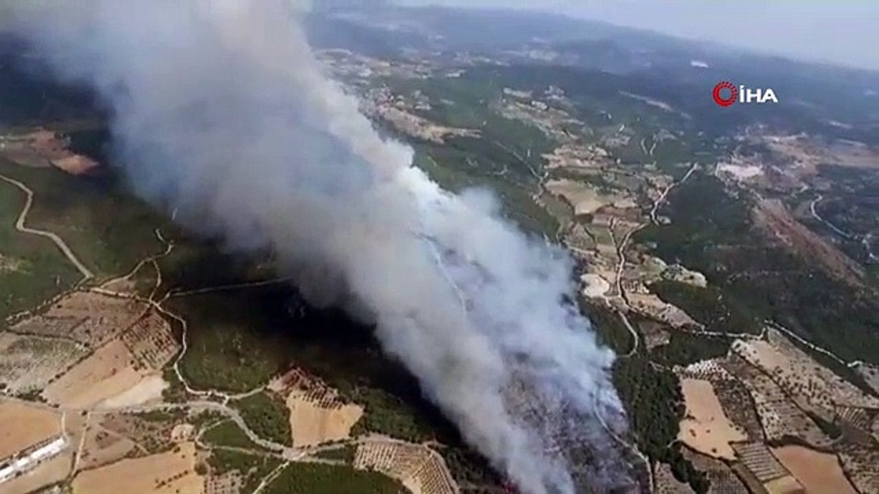 İzmir'de iki farklı noktada orman yangını
