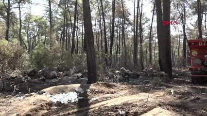 Kemer'deki orman yangını 3'üncü gününde