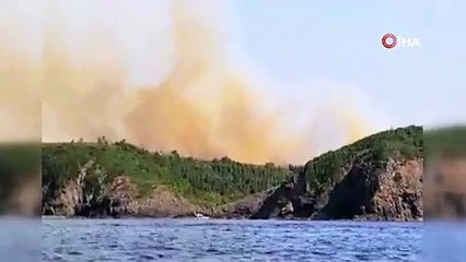 Beykoz'u alevler sardı