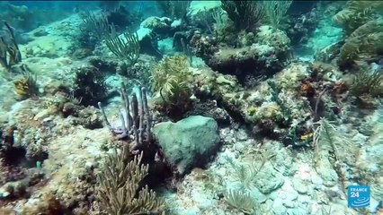 Hot-tub level: Florida ocean records 'unprecedent' temperatures