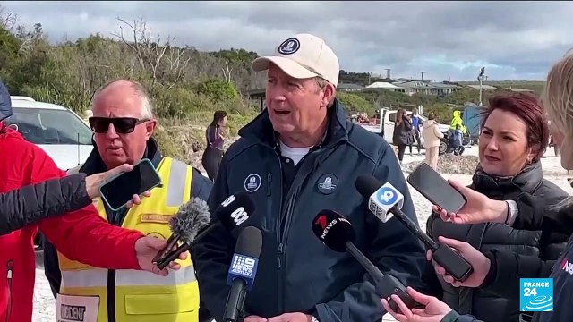 Volunteers and experts in Australia are working to try and save dozens of pilot whales