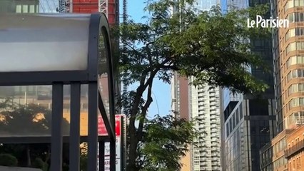 New York : une grue s'enflamme et s'écroule contre un immeuble de Manhattan