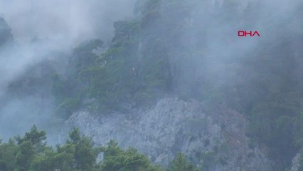 Kemer'de devam eden orman yangınına müdahale sürüyor
