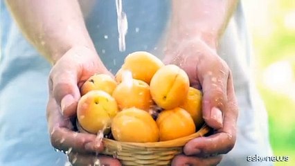 Estate, tempo di vacanza anche in gravidanza o per neo genitori