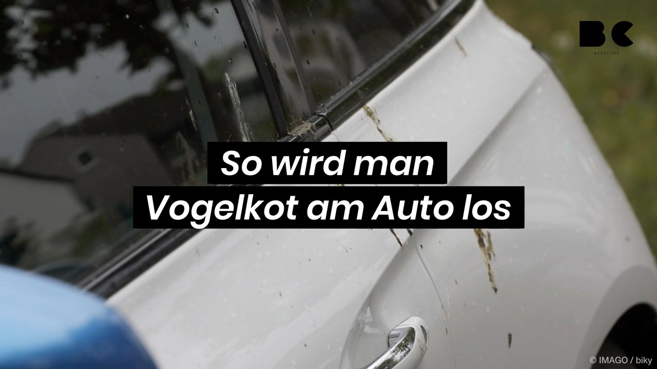 So wird man Vogelkot am Auto los