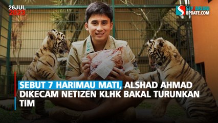 Sebut 7 Harimau Mati, Alshad Ahmad Dikecam Netizen KLHK Bakal Turunkan Tim