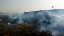 Beykoz'da çıkan orman yangını böyle görüntülendi