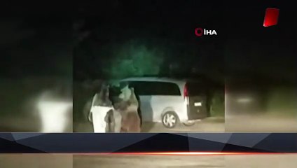 Bursa’da karnı acıkan ayı ailesi yemek bulmak için piknik alanına indi