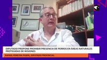 Diputado propone prohibir presencia de perros en áreas naturales protegidas de Misiones