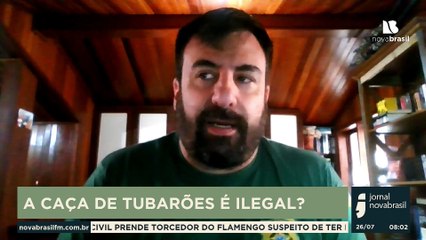 A CAÇA DE TUBARÕES É ILEGAL?