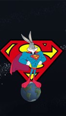 Looney Tunes & DC Mash-Up!