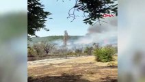 Kütahya'da Orman Yangını: Helikopter ve Takviye Ekipler Gönderildi