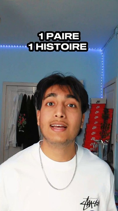 L'histoire De La Dunk SB Pigeon Staples NYC 