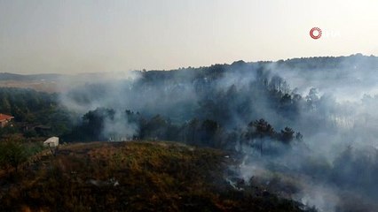 İstanbul’da orman yangını! 10 hektarlık alan...