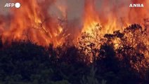 Incendi Grecia, ancora fiamme a Rodi