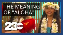 Aloha Entertainment turns love into literacy