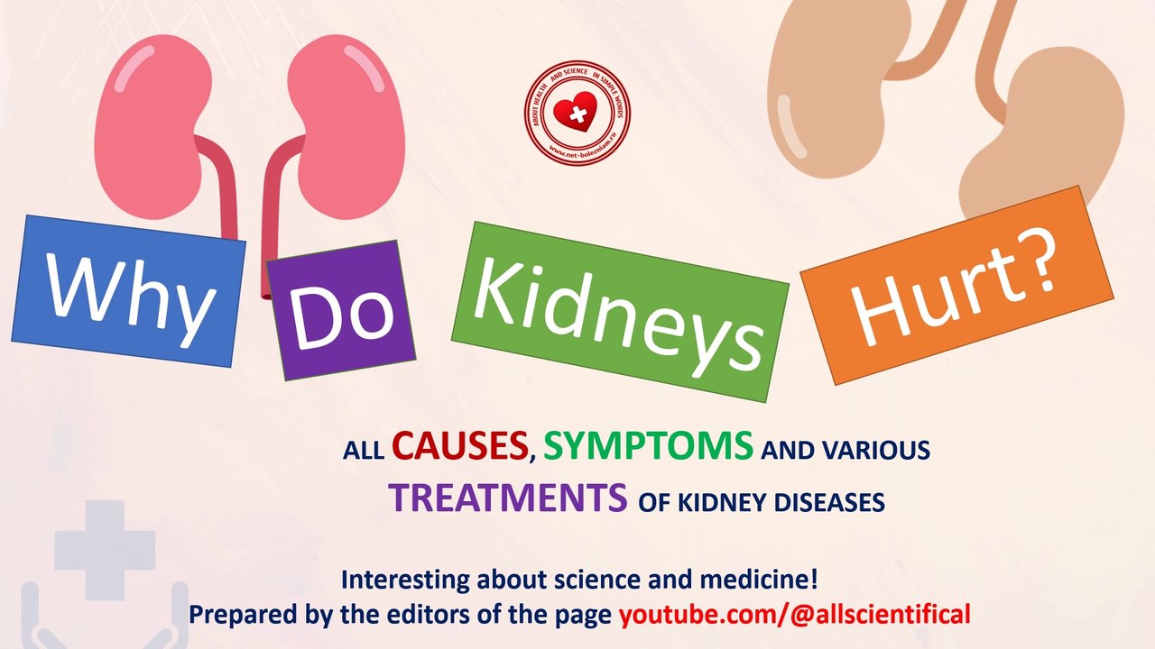 Why do kidneys hurt? Causes, symptoms and what to do to treat kidney