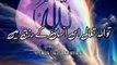 Apne Pasand Ki Shaadi Ka Wazifa - Urdu Status Islamic Whatsapp Status
