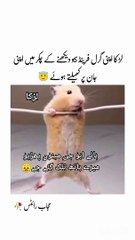 Fun with mouse everfun fun#fun#fun