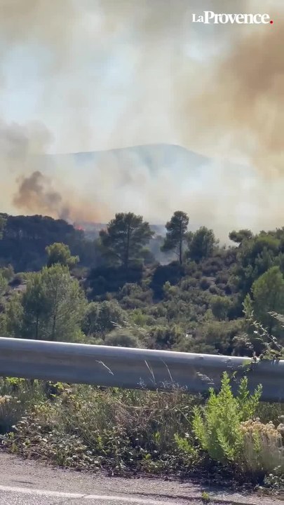 Le feu a démarré vers 16h30 sur les collines au-dessus de Marseille