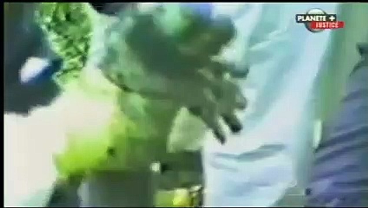 Histoires de Gangsters  Thomas Tommy Karaté Pitera