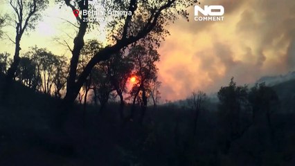 Incêndios extintos na Argélia deixam 34 mortos e muitos bens em cinzas