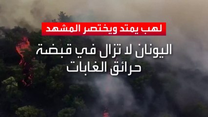 العربية 360 | الحرائق تأكل الأخضر واليابس في اليونان.. وتمتد للجزر السياحية