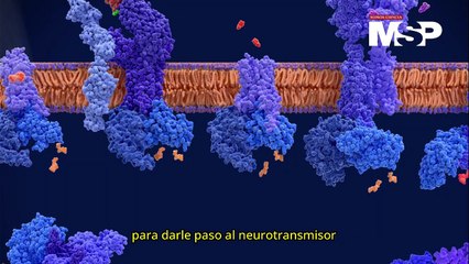 Trastornos del sueño: ¿Cómo funciona la #narcolepsia? - #ExclusivoMSP