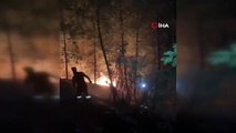 Gazipaşa'da çıkan orman yangını söndürüldü