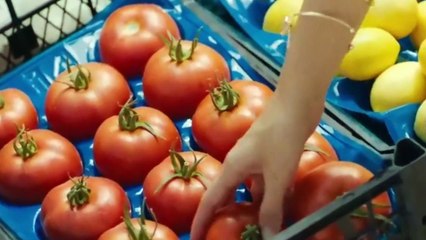 Ada Masali El Cuento de la Isla Capitulo 42 - Audio Español