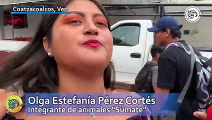 Instalarán dispensadores de croquetas en parques del sur de Veracruz; refugios animales, saturados