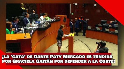 ¡VEAN! ¡la ‘gata’ de Dante Patricia Mercado es tundida por Graciela Gaitán por defender a la Corte!