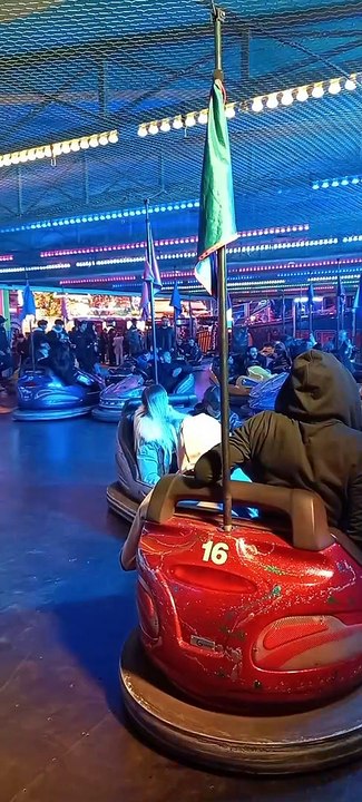 Nombreuses Attractions   Foire des Rameaux de Grenoble  #france #grenoble #foire #divertissement   (98)