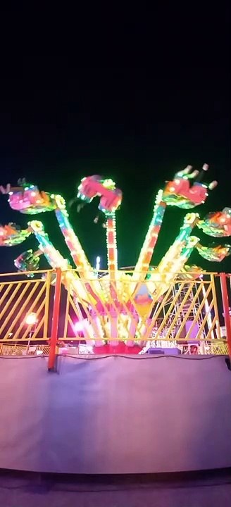 Nombreuses Attractions   Foire des Rameaux de Grenoble  #france #grenoble #foire #divertissement   (99)