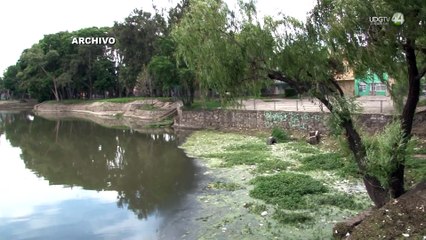 Desatienden compuertas y nos inundamos sin que llueva": vecinos de El Dean